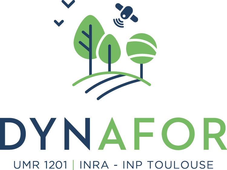 Logo dynafor